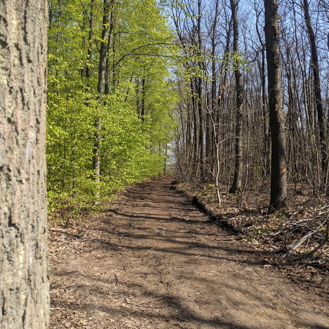 Gallicourts Natural Park 3